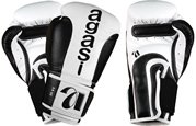 Boxing Glove
