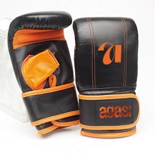 Punching Mitt