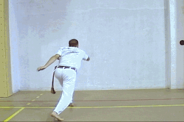 Capoeira Style