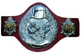 Muay Thai Belt