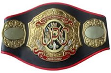 Weight lifting belt