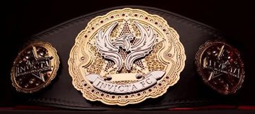 Black champion belt
