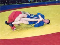 Sambo